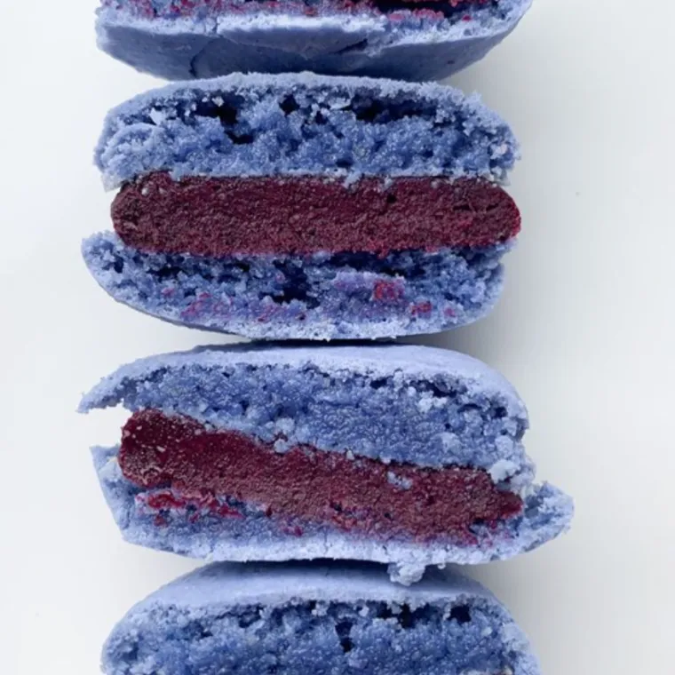 Blaubeere Macaron